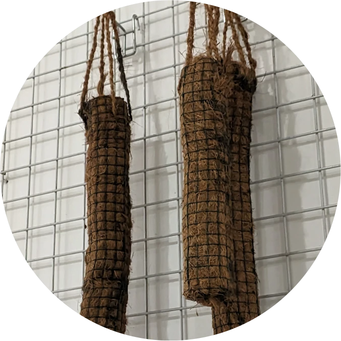 Turus Gantung Sabut Kelapa